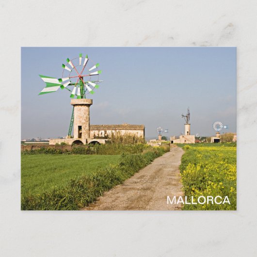 Carte Postale poste molino de viento en Mallorca (Devant)