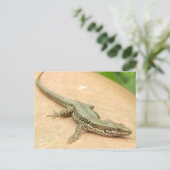 Carte Postale Poste Tarjeta Lagartija (Debout devant)