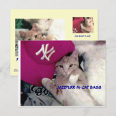 Carte Postale Poster Boy for Love Jazzpurr (Devant / Derrière)