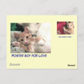 Carte Postale Poster Boy for Love Jazzpurr (Dos)