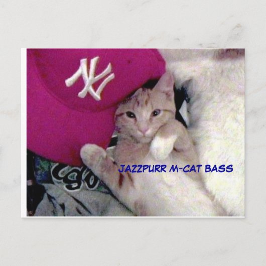 Carte Postale Poster Boy for Love Jazzpurr (Devant)