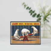 Carte postale Poster Circus (Debout devant)