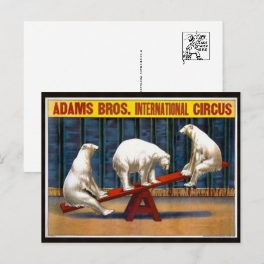 Carte postale Poster Circus (Devant / Derrière)