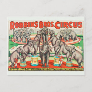 Carte postale Poster Circus