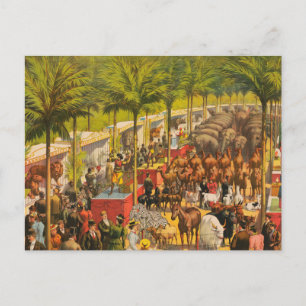 Carte Postale Poster Cirque vintage D'Animaux Et D'Artistes
