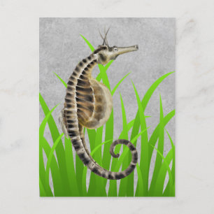 Carte Postale Poster de animal de Cheval de mer Pot Bellied