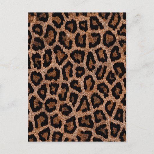 Carte Postale Poster de animal Motif Leopard classique (Devant)