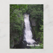 Carte Postale Poster de Bushkill Falls (Devant)