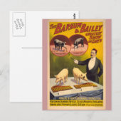 Carte Postale Poster de cirque de cochons en formation (Devant / Derrière)