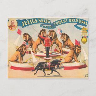 Carte Postale Poster De Cirque De Julius Vit Avec Ses Lions