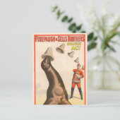 Carte Postale Poster De Cirque Montrant Un Lion De Mer Casquette (Debout devant)