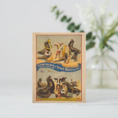 Carte Postale Poster de cirque pour phoques en formation - Forep (Debout devant)