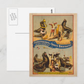 Carte Postale Poster de cirque pour phoques en formation - Forep (Devant / Derrière)