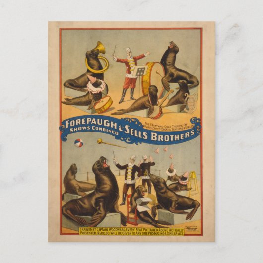 Carte Postale Poster de cirque pour phoques en formation - Forep (Devant)