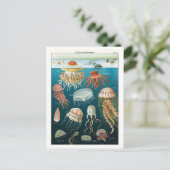 Carte Postale Poster de la méduse océanographie vintage (Debout devant)