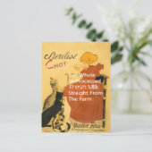 Carte Postale Poster de lait Vintage Kitten (Debout devant)