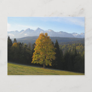 Carte Postale Poster de l'automne à Tatras