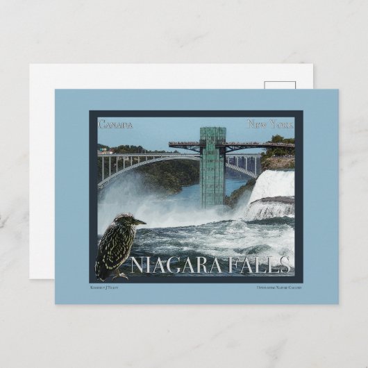 Carte Postale Poster de Niagara Falls (Devant / Derrière)