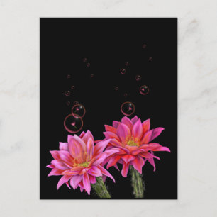 Carte Postale Poster des fleurs colorées de cactus avec bulles