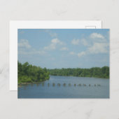 Carte Postale Poster des terres humides (Devant / Derrière)