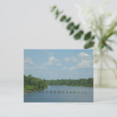 Carte Postale Poster des terres humides (Debout devant)