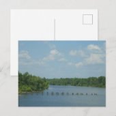 Carte Postale Poster des terres humides (Devant / Derrière)