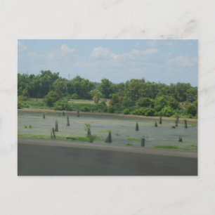 Carte Postale Poster des terres humides