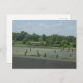Carte Postale Poster des terres humides (Devant / Derrière)