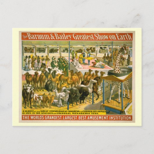 Carte Postale Poster du Barnum & Bailey Circus (Devant)