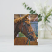 Carte Postale Poster du cheval (Debout devant)