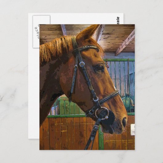 Carte Postale Poster du cheval (Devant / Derrière)