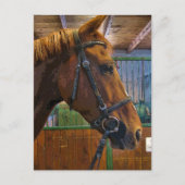 Carte Postale Poster du cheval (Devant)