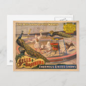 Carte Postale Poster du cirque Clown, Zebu et Peacock (Devant / Derrière)