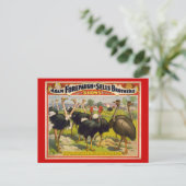 Carte Postale Poster du cirque Oiseaux géants - Forepaugh et Sel (Debout devant)