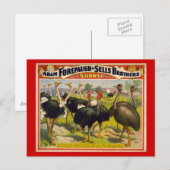 Carte Postale Poster du cirque Oiseaux géants - Forepaugh et Sel (Devant / Derrière)