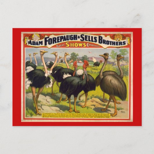 Carte Postale Poster du cirque Oiseaux géants - Forepaugh et Sel (Devant)