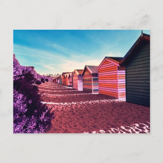 Carte Postale Poster du dos de Brighton Beach (Devant)