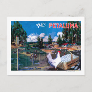 Carte Postale Poster du panier d'oeufs du monde