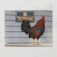 Poster d'un coq gardant une clé du porche ouest