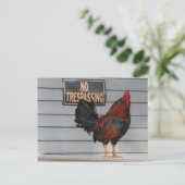 Carte Postale Poster d'un coq gardant une clé du porche ouest (Debout devant)