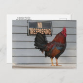 Carte Postale Poster d'un coq gardant une clé du porche ouest (Devant / Derrière)