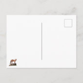 Carte Postale Poster Red Fox (Dos)
