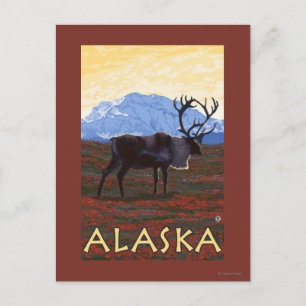 Carte Postale Poster Vintage voyage AlaskaCaribou