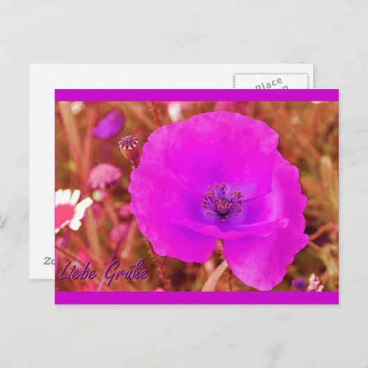 Carte Postale Postkarte (Devant / Derrière)