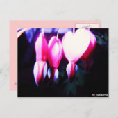 Carte Postale Postkarte - Blumenherzen (Devant / Derrière)