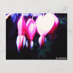 Carte Postale Postkarte - Blumenherzen