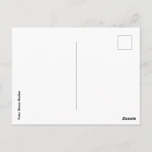 Carte Postale Postkarte Bodensee (Dos)