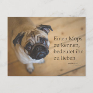 Carte Postale Postkarte "Einen Mops zu kennen ....