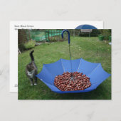 Carte Postale Postkarte - Est-ce que bist du denn ? (Devant / Derrière)