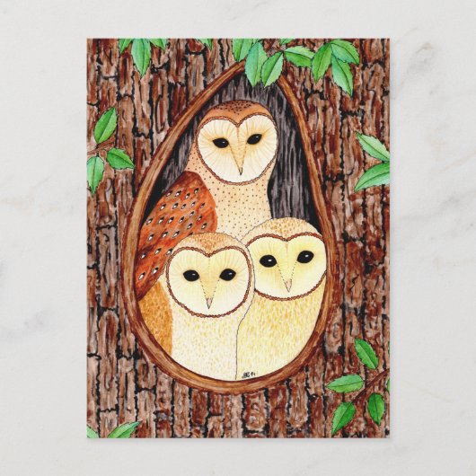 Carte Postale Postkarte Eule (Devant)